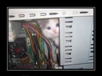 Ремонт и настройка компьютеров, ноутбуков. Все виды работ.