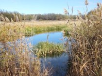 партнер по бизнесу