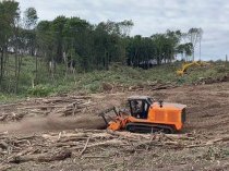 Расчистка территорий от деревьев и пней от 1 Га