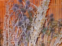 Волшебные услуги