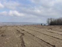 Расчистка территорий от деревьев и пней от 1 Га