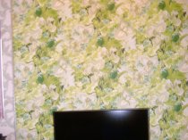 Сдам 1 ком. кв русской семейной паре или женщине