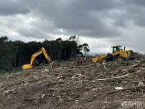 Расчистка территорий от деревьев и пней от 1 Га