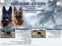 Щенки немецкой овчарки с документами