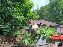 Вывозим строительный мусор контейнерами 8м3 - 27м3 и ГАЗелями 8-14м3