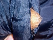 Женский зимний пуховик