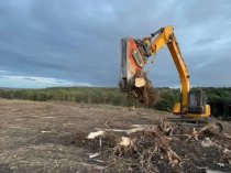 Расчистка территорий от деревьев и пней от 1 Га