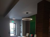 Сдам студию - апартаменты  в центе Москвы