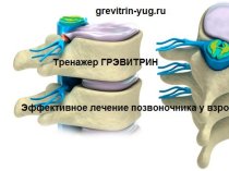 Тренажер "Грэвитрин-Комфорт плюс"купить для лечения позвоночника и массажа спины цена