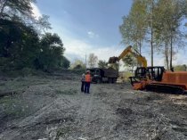 Расчистка территорий от деревьев и пней от 1 Га