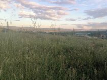 земельный участок