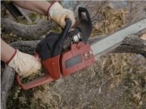 Спил дерева с естественным наклоном в Санкт-Петербурге и ЛО